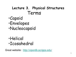 Lecture 3. Physical Structures