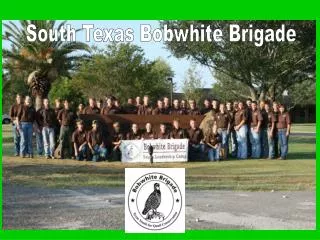 South Texas Bobwhite Brigade