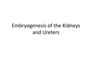 Embryogenesis of the Kidneys and Ureters