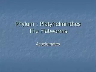 Phylum : Platyhelminthes The Flatworms