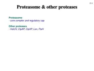 Proteasome &amp; other proteases