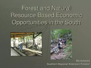 Forest and Natural Resource Based Economic Opportunities in the South