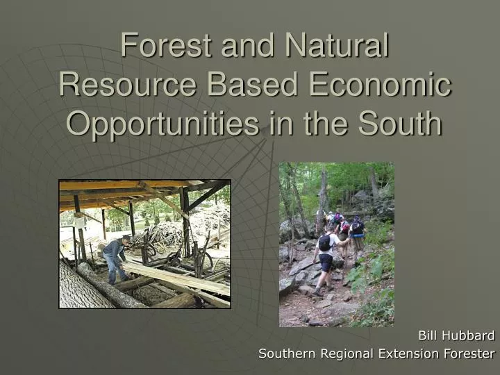 forest and natural resource based economic opportunities in the south