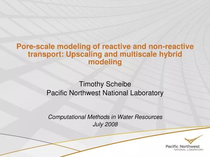 pore scale modeling of reactive and non reactive transport upscaling and multiscale hybrid modeling