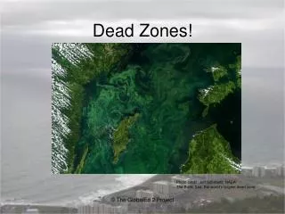 Dead Zones!