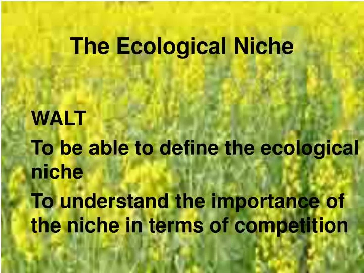 the ecological niche