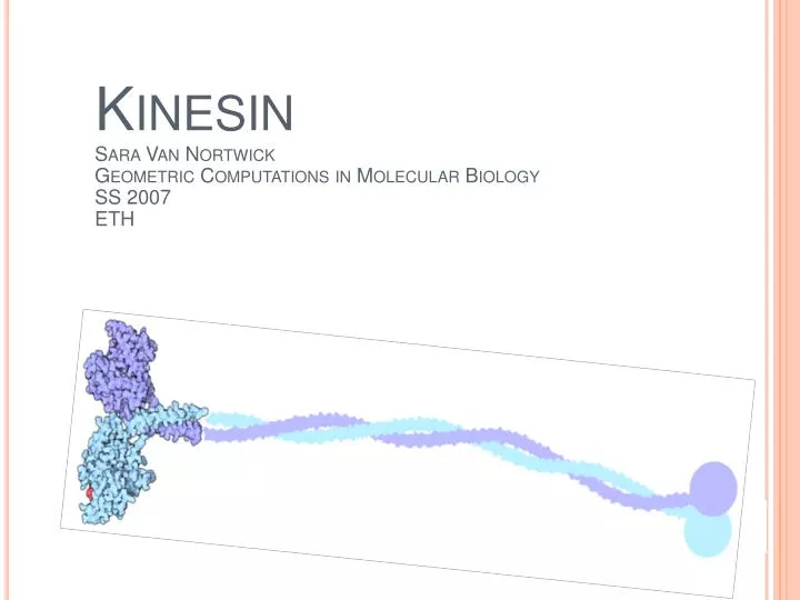 kinesin sara van nortwick geometric computations in molecular biology ss 2007 eth