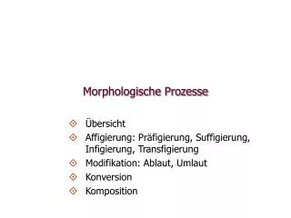 Morphologische Prozesse