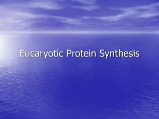 Eucaryotic Protein Synthesis