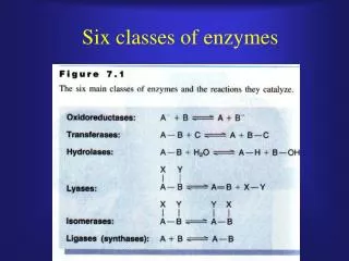 Six classes of enzymes