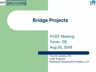 Bridge Projects