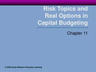 Risk Topics and Real Options in Capital Budgeting