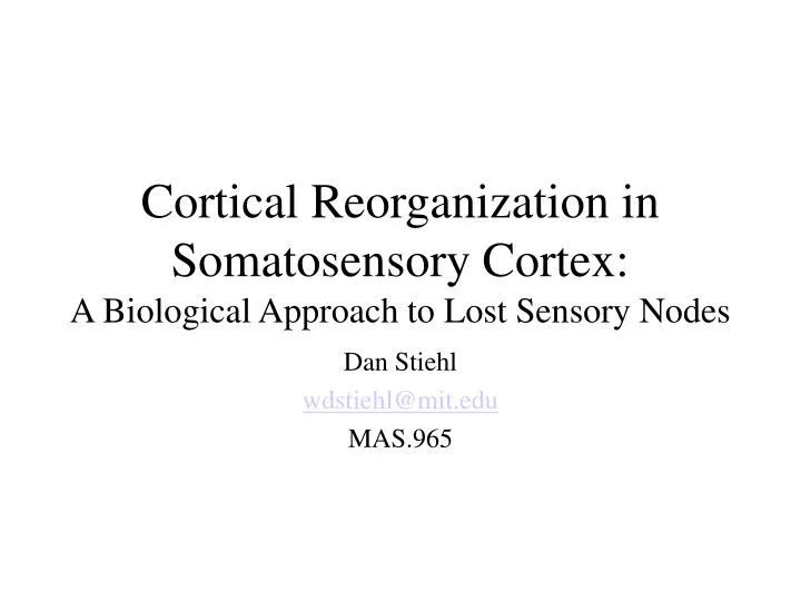 cortical reorganization in somatosensory cortex a biological approach to lost sensory nodes