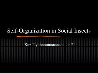 Self-Organization in Social Insects