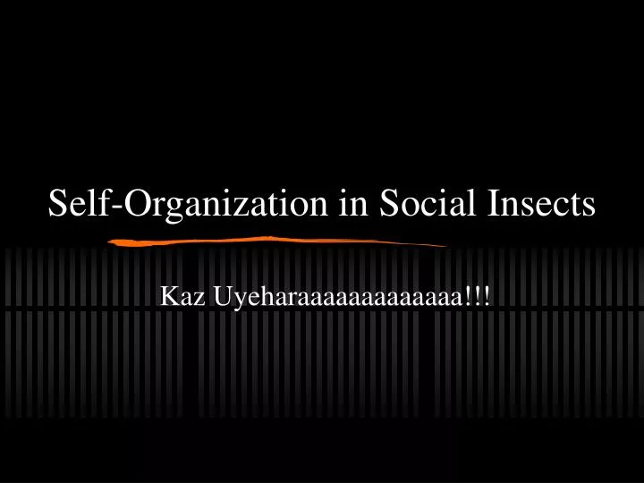 self organization in social insects