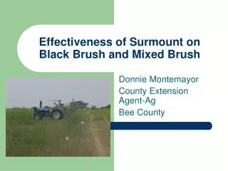 Effectiveness of Surmount on Black Brush and Mixed Brush