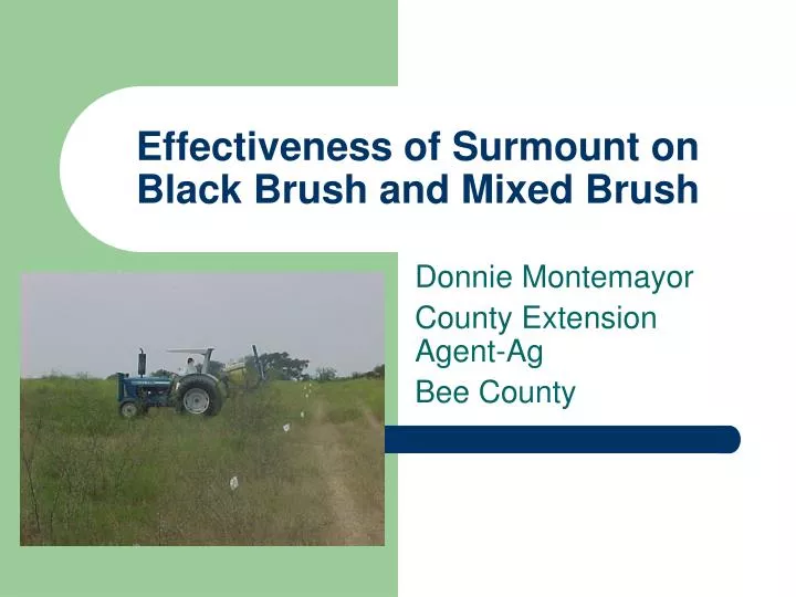 effectiveness of surmount on black brush and mixed brush