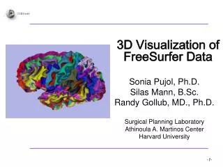 3D Visualization of FreeSurfer Data