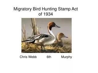 Migratory Bird Hunting Stamp Act of 1934
