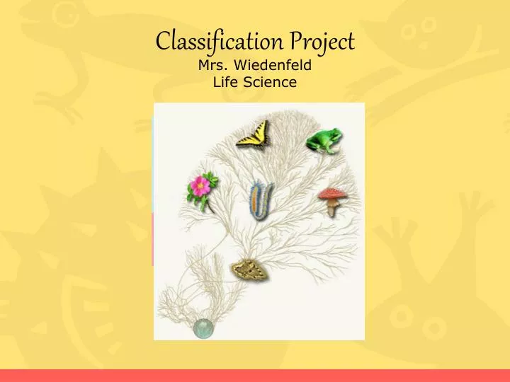 classification project mrs wiedenfeld life science
