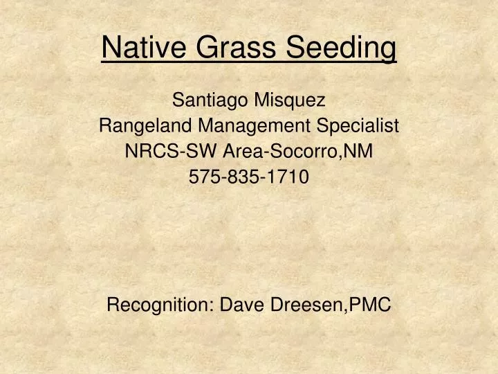 native grass seeding
