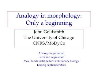 Analogy in morphology: Only a beginning