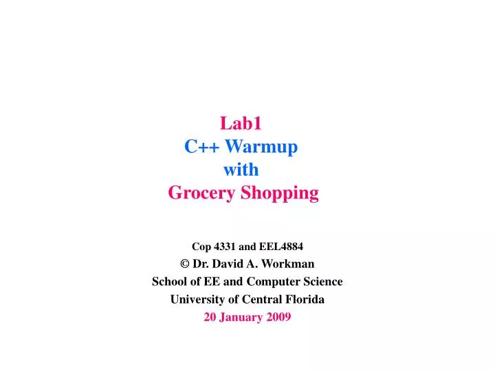 lab1 c warmup with grocery shopping