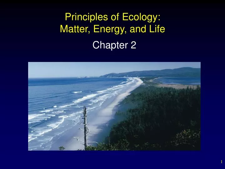 principles of ecology matter energy and life
