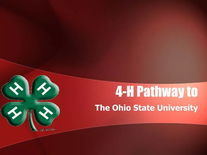 4 h pathway to