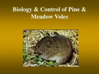 Biology &amp; Control of Pine &amp; Meadow Voles