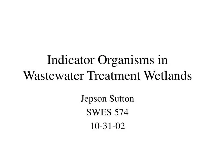 indicator organisms in wastewater treatment wetlands