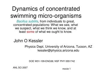 Dynamics of concentrated swimming micro-organisms