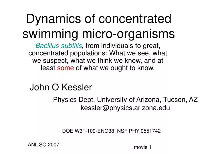 dynamics of concentrated swimming micro organisms