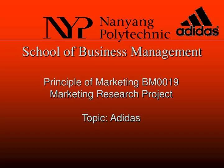 school of business management