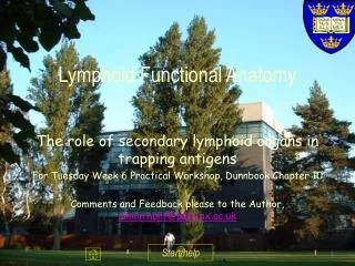 Lymphoid Functional Anatomy