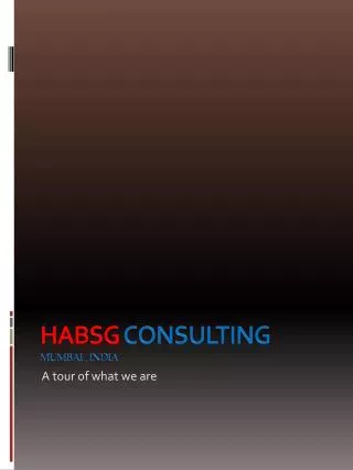 HABSG Consulting