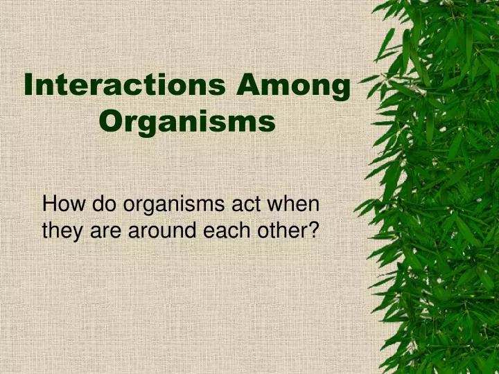 interactions among organisms