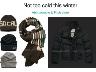 Not too cold this winter