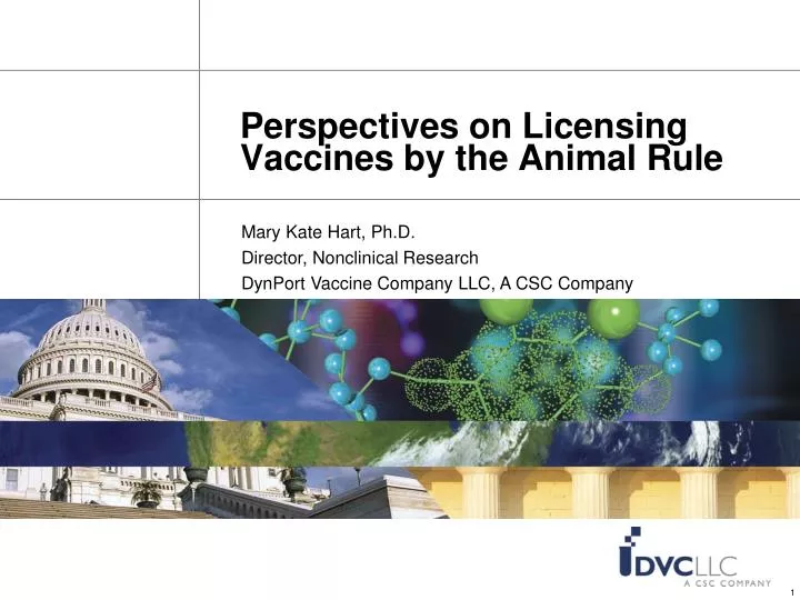 perspectives on licensing vaccines by the animal rule
