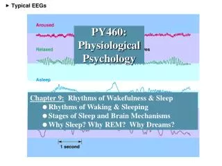 PY460: Physiological Psychology