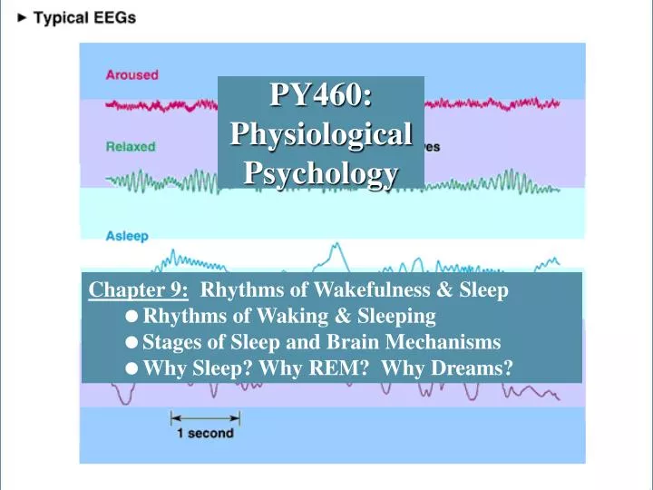 py460 physiological psychology