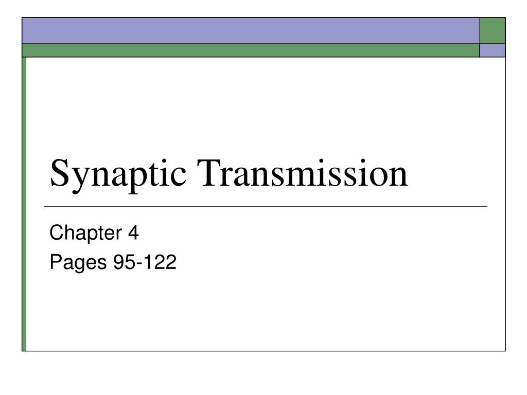 PPT - Synaptic Transmission PowerPoint Presentation, free download - ID ...