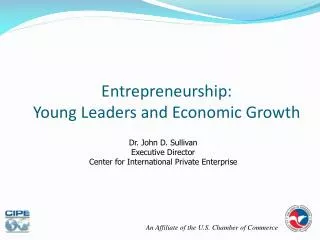 Entrepreneurship: Young Leaders and Economic Growth