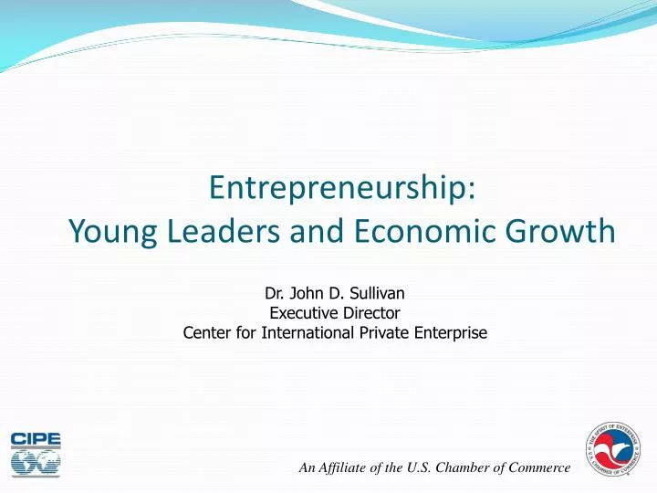 entrepreneurship young leaders and economic growth