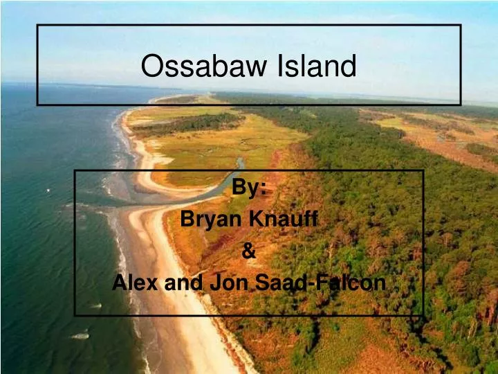 ossabaw island