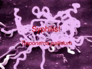 Syphilis!