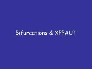 Bifurcations &amp; XPPAUT
