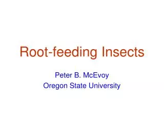Root-feeding Insects