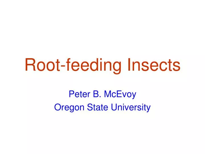 root feeding insects