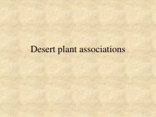 Desert plant associations
